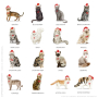 Tag de Presente Cats Xmas - cats 