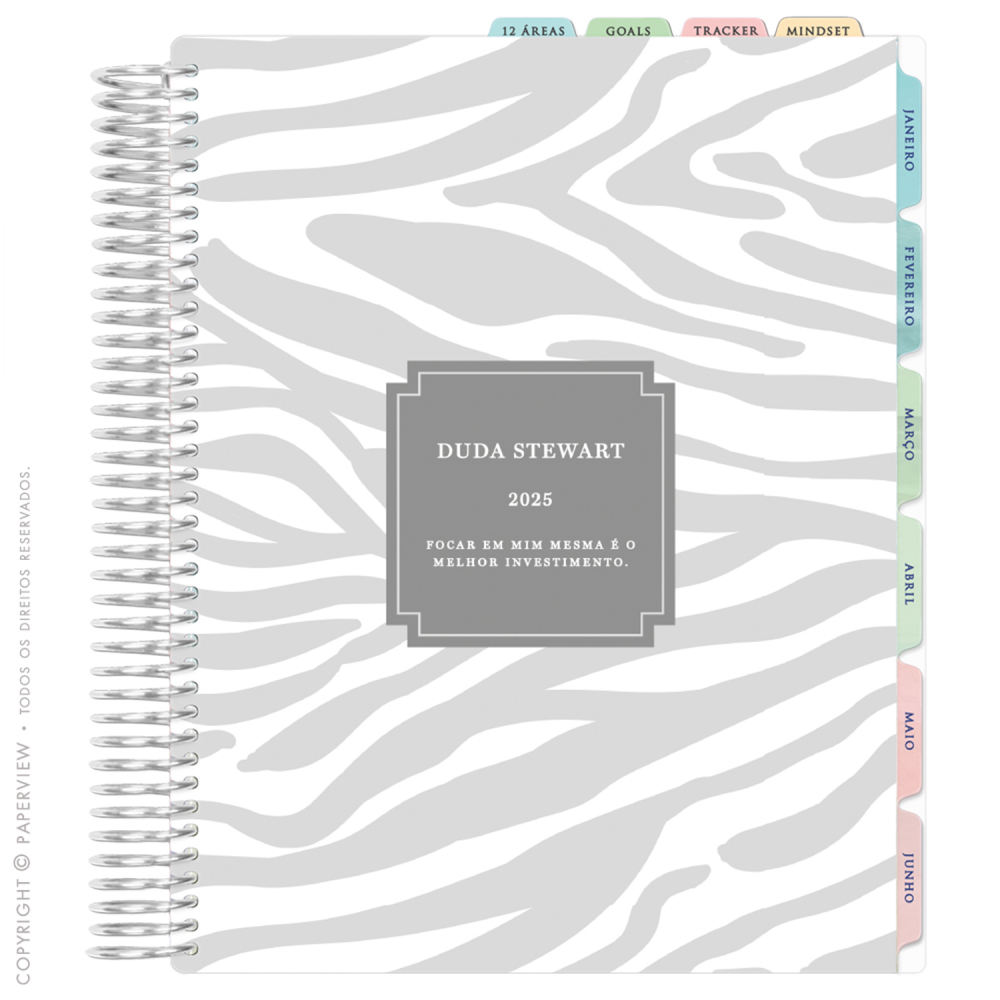 Daily Planner 2025 Savanna Stripes Silver